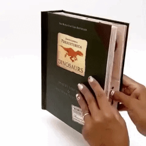 3D Pop-Up Book “Dinosaurs” – A Prehistoric Adventure That Sparks Wonder