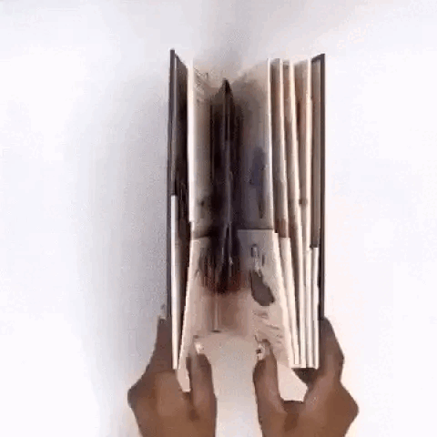 3D Pop-Up Book “Dinosaurs” – A Prehistoric Adventure That Sparks Wonder